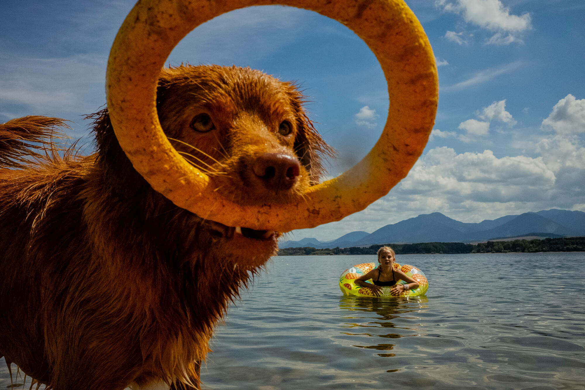 Rodinná fotografie - dokument - Snídaně ve třech. Maminka, dcerka a pes.