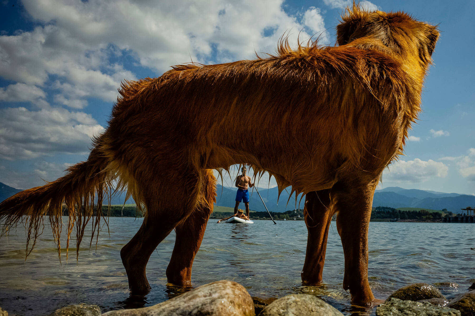Svatební fotografie prostoru, kde bude oddávající realizovat svatební obřad. Hajnýho stodola na Šumavě