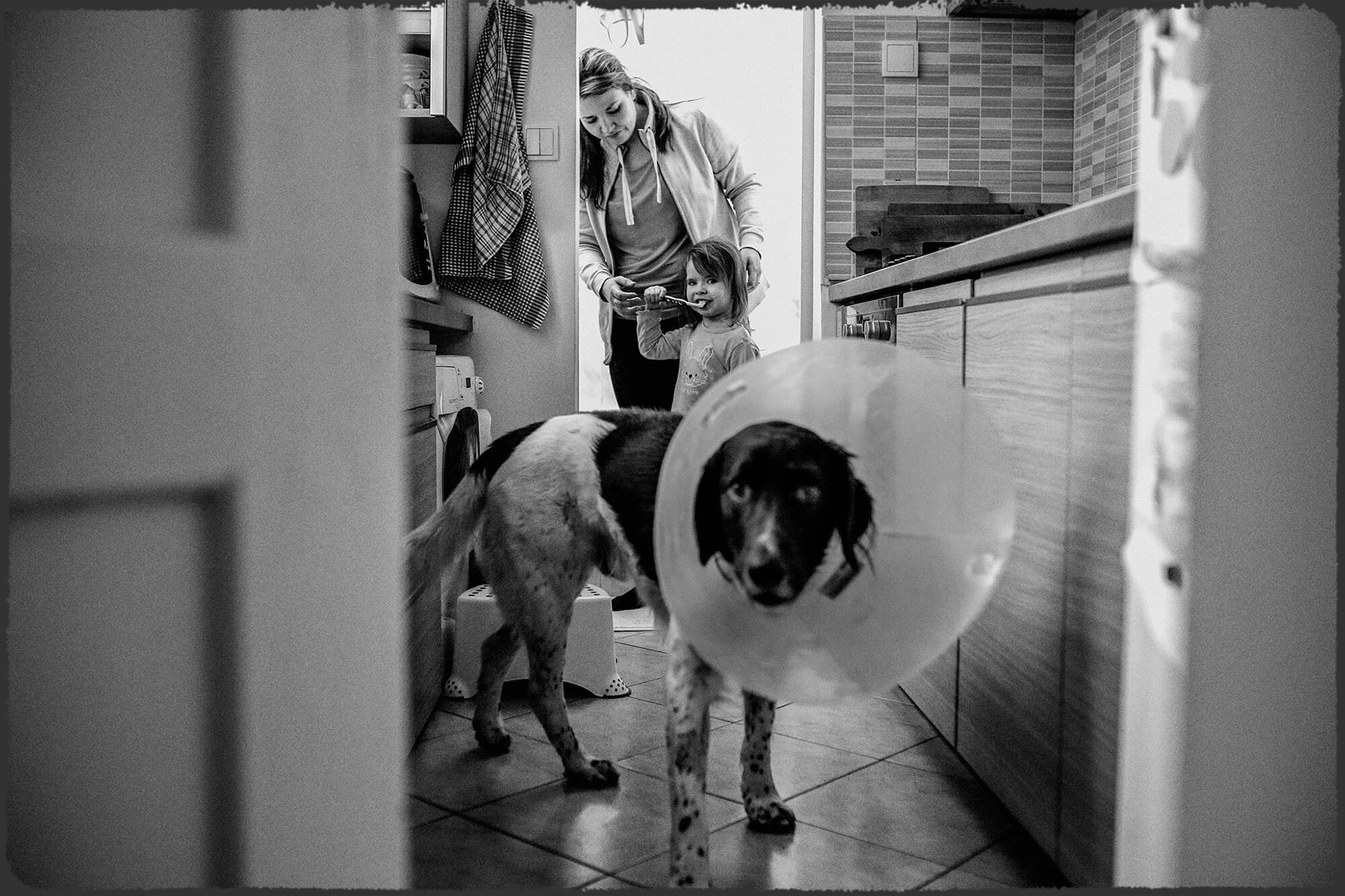 Rodinná dokumentární fotka, na které maminka čistí dceři zuby