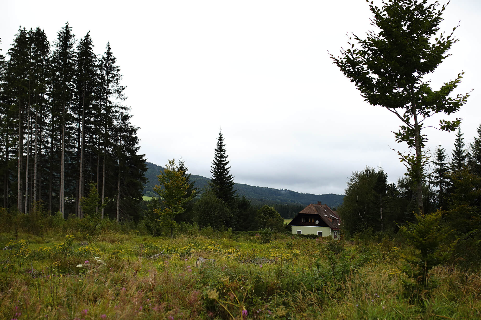 Svatební fotografie prostoru, kde bude oddávající realizovat svatební obřad. Hajnýho stodola na Šumavě